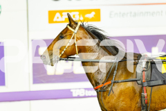 2025_PACEPIX_GP11112025_RACE6_VinitaRose_WIN_WEB-17