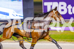 2025_PACEPIX_GP11112025_RACE6_VinitaRose_WIN_WEB-2