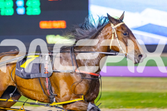 2025_PACEPIX_GP11112025_RACE6_VinitaRose_WIN_WEB-4