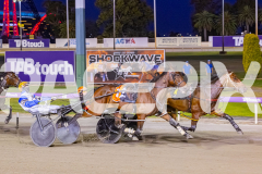 2025_PACEPIX_GP11112025_RACE6_VinitaRose_WIN_WEB-9