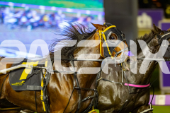 2026_PACEPIX_GP24042026_Race6_WakeUpGeoff_WIN_WEB-2