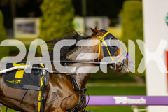 2026_PACEPIX_GP24042026_Race6_WakeUpGeoff_WIN_WEB-3