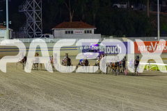 2026_PACEPIX_GP24042026_Race6_WakeUpGeoff_WIN_WEB-4