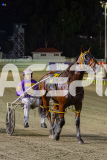 2026_PACEPIX_GP24042026_Race6_WakeUpGeoff_WIN_WEB-41