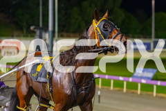 2026_PACEPIX_GP24042026_Race6_WakeUpGeoff_WIN_WEB-42