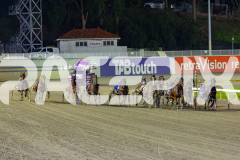 2026_PACEPIX_GP24042026_Race6_WakeUpGeoff_WIN_WEB-5