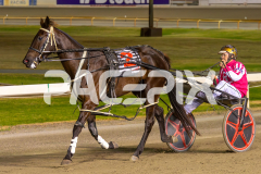 Race 6 - Wesmedad