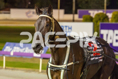 Wesmedad_06-12-2025_WIN_Glouester-Park_6__01