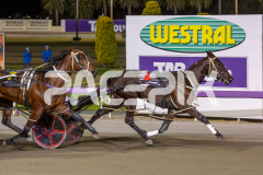 Wesmedad_06-12-2025_WIN_Glouester-Park_6__05