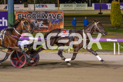 Wesmedad_06-12-2025_WIN_Glouester-Park_6__06