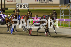 Wesmedad_06-12-2025_WIN_Glouester-Park_6__11