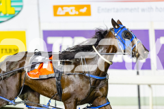 2025_PACEPIX_GP05092025_RACE6_WishingBelle_WIN_WEB-1
