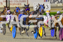 2025_PACEPIX_GP05092025_RACE6_WishingBelle_WIN_WEB-3