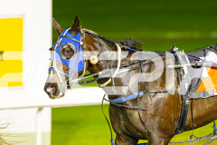 2025_PACEPIX_GP05092025_RACE6_WishingBelle_WIN_WEB-38