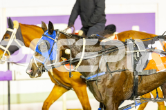 2025_PACEPIX_GP05092025_RACE6_WishingBelle_WIN_WEB-39