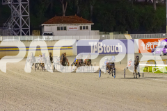 2025_PACEPIX_GP05092025_RACE6_WishingBelle_WIN_WEB-8