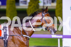 2025_Pacepix_GP31132025_Race6_WonderfulToFly_WIN_WEB-15