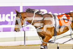 2025_Pacepix_GP31132025_Race6_WonderfulToFly_WIN_WEB-17