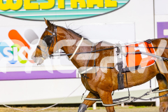2025_Pacepix_GP31132025_Race6_WonderfulToFly_WIN_WEB-19