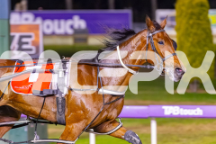 2025_Pacepix_GP31132025_Race6_WonderfulToFly_WIN_WEB-4