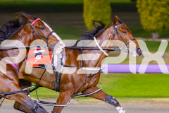 2025_Pacepix_GP31132025_Race6_WonderfulToFly_WIN_WEB-8