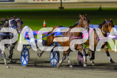 2026_PACEPIX_GP24042026_Race7_Aardiebytheseaside_WIN_WEB-10