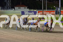 2026_PACEPIX_GP24042026_Race7_Aardiebytheseaside_WIN_WEB-14
