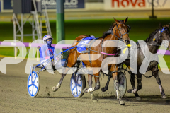 2026_PACEPIX_GP24042026_Race7_Aardiebytheseaside_WIN_WEB-16