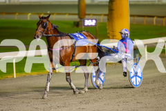 2026_PACEPIX_GP24042026_Race7_Aardiebytheseaside_WIN_WEB-19