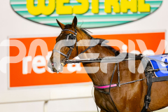 2026_PACEPIX_GP24042026_Race7_Aardiebytheseaside_WIN_WEB-20