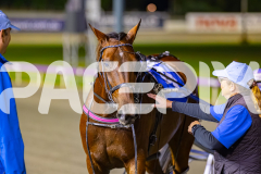 2026_PACEPIX_GP24042026_Race7_Aardiebytheseaside_WIN_WEB-22