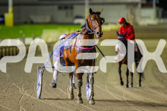 2026_PACEPIX_GP24042026_Race7_Aardiebytheseaside_WIN_WEB-24