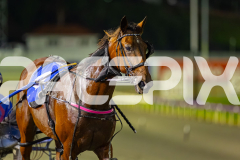 2026_PACEPIX_GP24042026_Race7_Aardiebytheseaside_WIN_WEB-25