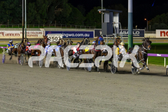 Alfa-Jess_07-07-2026_WIN_Gloucester-Park_7__02