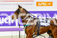 2026_PACEPIX_GP30062026_Race7_AllOutOfAces_WIN_WEB-18