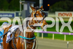 2026_PACEPIX_GP30062026_Race7_AllOutOfAces_WIN_WEB-20