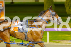 2025_PACEPIX_GP12092025_Race7_Arionrock_WIN_WEB-10