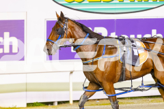 2025_PACEPIX_GP12092025_Race7_Arionrock_WIN_WEB-13