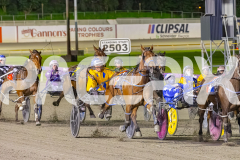 2025_PACEPIX_GP12092025_Race7_Arionrock_WIN_WEB-4