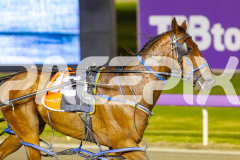 2025_PACEPIX_GP12092025_Race7_Arionrock_WIN_WEB-8