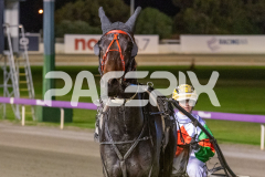 Arise-Lazarus_14-04-2026_WIN_Gloucester-Park_7__08
