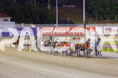 2025_PACEPIX_GP12122025_RACE7_ArmaBeliever_WIN_WEB-1