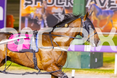 2025_PACEPIX_GP12122025_RACE7_ArmaBeliever_WIN_WEB-16