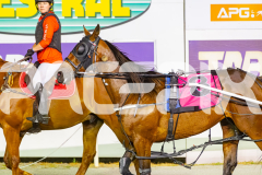 2025_PACEPIX_GP12122025_RACE7_ArmaBeliever_WIN_WEB-19