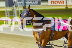 2025_PACEPIX_GP12122025_RACE7_ArmaBeliever_WIN_WEB-21