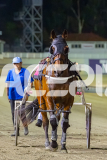 2025_PACEPIX_GP12122025_RACE7_ArmaBeliever_WIN_WEB-24