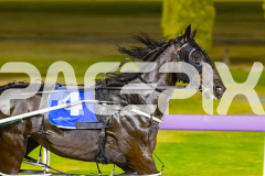2025_PACEPIX_GP12122025_RACE7_ArmaBeliever_WIN_WEB-3