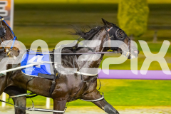 2025_PACEPIX_GP12122025_RACE7_ArmaBeliever_WIN_WEB-5