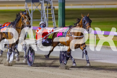 2025_PACEPIX_GP12122025_RACE7_ArmaBeliever_WIN_WEB-9