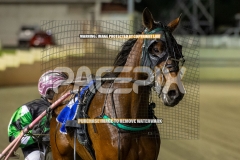 Art-Ideal_25-09-2026_WIN_Gloucester-Park_7__11